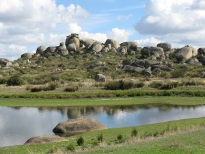 If you look carefully, you can see a big, white cement square on the left side of this photo. The cement block has a car stuck in it halfway--it's part of Vautier's artwork. It was a gorgeous day for hiking.