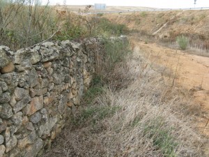 Puck climbed down to take a photo of one of the stone fences.