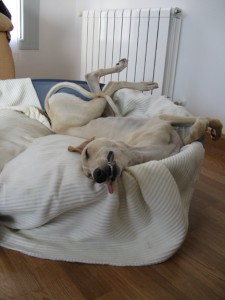 She's just asleep...really.