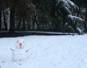 This little fella with a large orange nose was ready to greet the dogs running in the park.