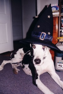 "You cannot resist my powers! You will give me that candy you're eating!" (2002)