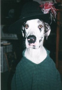 Swashbuckling Shakti (2003)