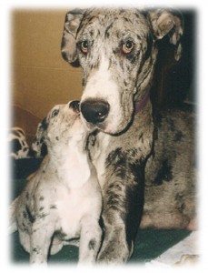 Her mother.