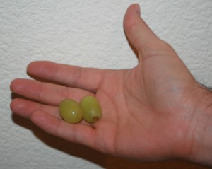 To give you a little perspective, our two little ones were each about the size of a grape.