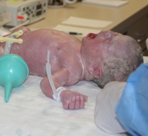 Alexander Daniel Curtis
