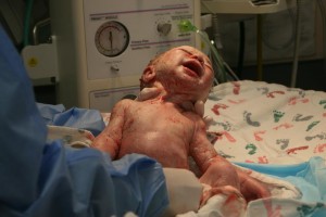 Dominic William Finn Curtis