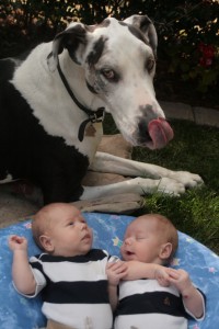 These boys look delicious!