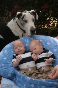 Shakti watches over her little charges.