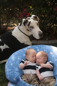 Shakti and the co-conspirators