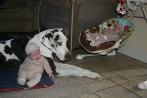 09_alex_shakti_dom Even Shakti has babysitting duties