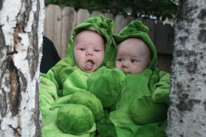 119_peas_pod_closeup Give me some candy!