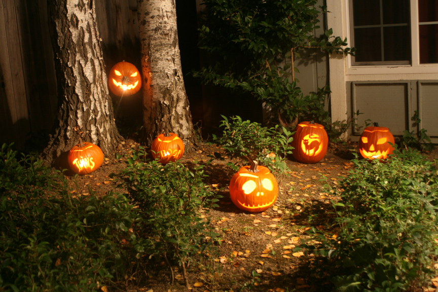 149_6pumpkins We hope you had a happy Halloween!