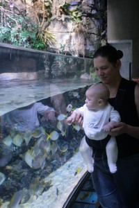 40_dom_mom Dom with Mom