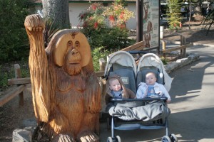 23_alex_dom_orangutan_cute Alex (left) & Dom hang out with an orangutan.