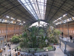 The Rainforest in Atocha Station