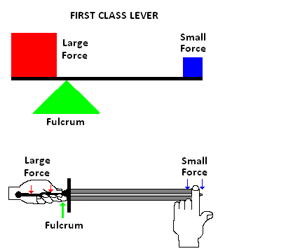 3rd class lever. First Class Lever held by