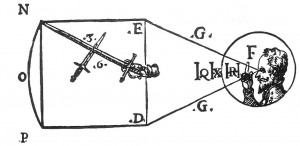 Carranzas Analogy for Momentum and Inertia